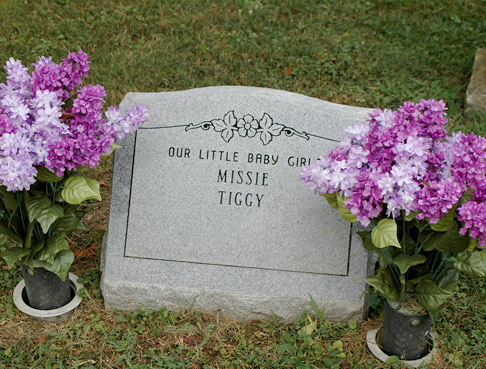 http://angelrefugepetcemetery.com/img/headstone3.jpg